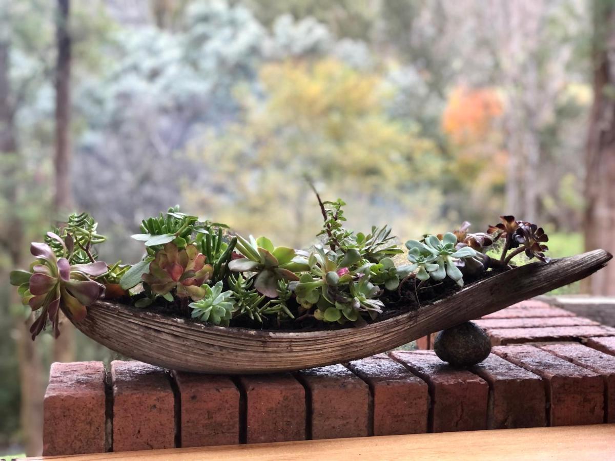 Kiewa Country Cottages マウント・ビューティー エクステリア 写真